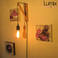 Système de fixation au mur réglable en bois pour lampe baladeuse Système de fixation au mur réglable en bois pour lampe baladeuse