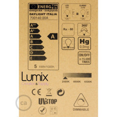 Ampoule gros Globe à filament LED - 5 W / 220 Volts - G125