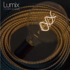 Ampoule gros Globe transparent à filament LED - 5 W / 220 Volts - G125