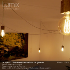 Vue de l'octopus chêne