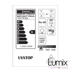 Ampoule gros Globe smoky à filament LED - 5 W / 220 Volts - G125