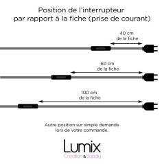 Position de l'interrupteur sur le câble de la baladeuse 