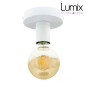 Lampe plafonnier ou en applique murale - Couleur métal blanc