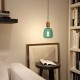Pendant light 1 rose lamp and wooden and leather holder