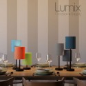 Table lamp configurable with or without fabric shade