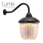 Grande applique en fonte d'aluminium avec col de cygne - IP53 Grande applique en fonte d'aluminium avec col de cygne - IP53