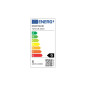 Ampoule géante Globe Smoky  G200 à filament led double spirale 5 W-E27-220 Volts