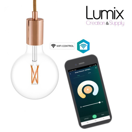 Ampoule connectée LED SMART WIFI ST64 transparente - 6.5W E27 Dimmable