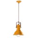 Pendant light Rétro industrielle métal peinture style vintage