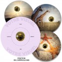 Anwendung Helios 2.0 Photo Disc Anpassbar - Disc 40 cm Gedrucktes Aluminium