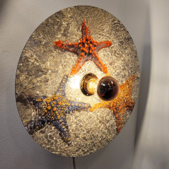 Applique disque Helios Etoile de mer - Disque 40 cm environ Aluminium imprimé